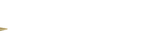 Logo SLOT QRIS